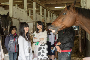 一方こちらは牛舎ではなく、馬の厩舎で馬術部の見学です。表情豊な馬たちに思わず笑顔がこぼれます。