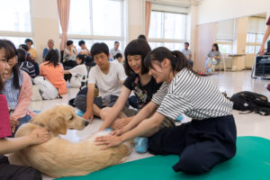 犬は全て獣医保健看護学類で飼っている学類犬です。獣医保健看護学類の学生は、2年生になると犬のお世話がはじまります。朝・昼・夜の散歩とご飯、ブラッシングなどお世話は大変ですが、いつでも動物に触れられる環境が大切なのです。