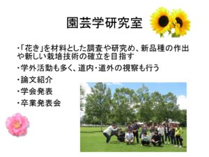循環農学類からはもう1名北海道の新十津川町出身の先輩がお話ししてくれました。こちらはそのスライドの一部です。入学して3年生になると研究室に所属になりますが、この先輩は園芸学研究室に所属しており、ユリの花について研究をしています。研究室では論文の発表や学外の学会に参加したりします。