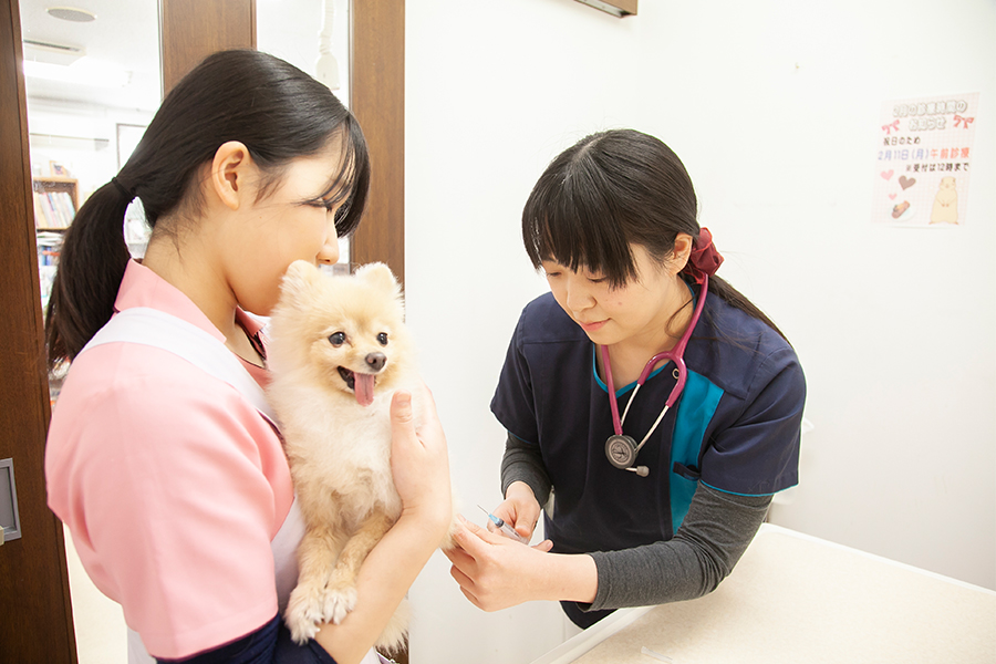 権平 友里恵