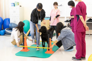 第3回オープンキャンパスレポート!