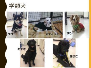 出張オープンキャンパスレポート