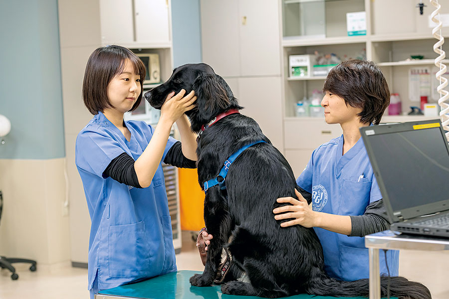 吉永 早織