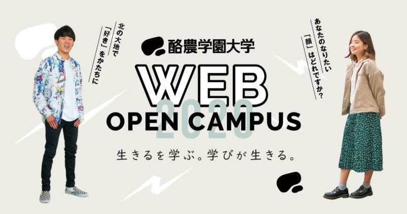 特設