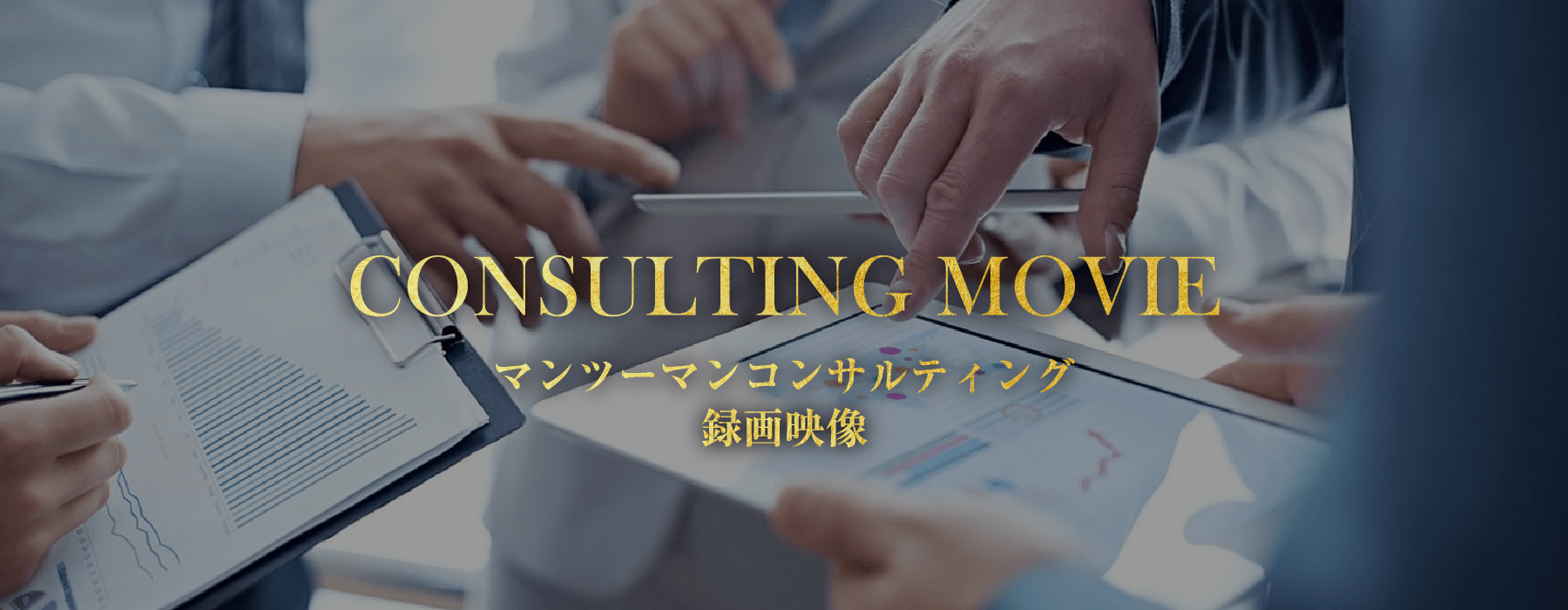 CONSULTING MOVIE