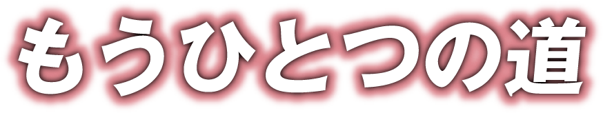 もうひとつの道