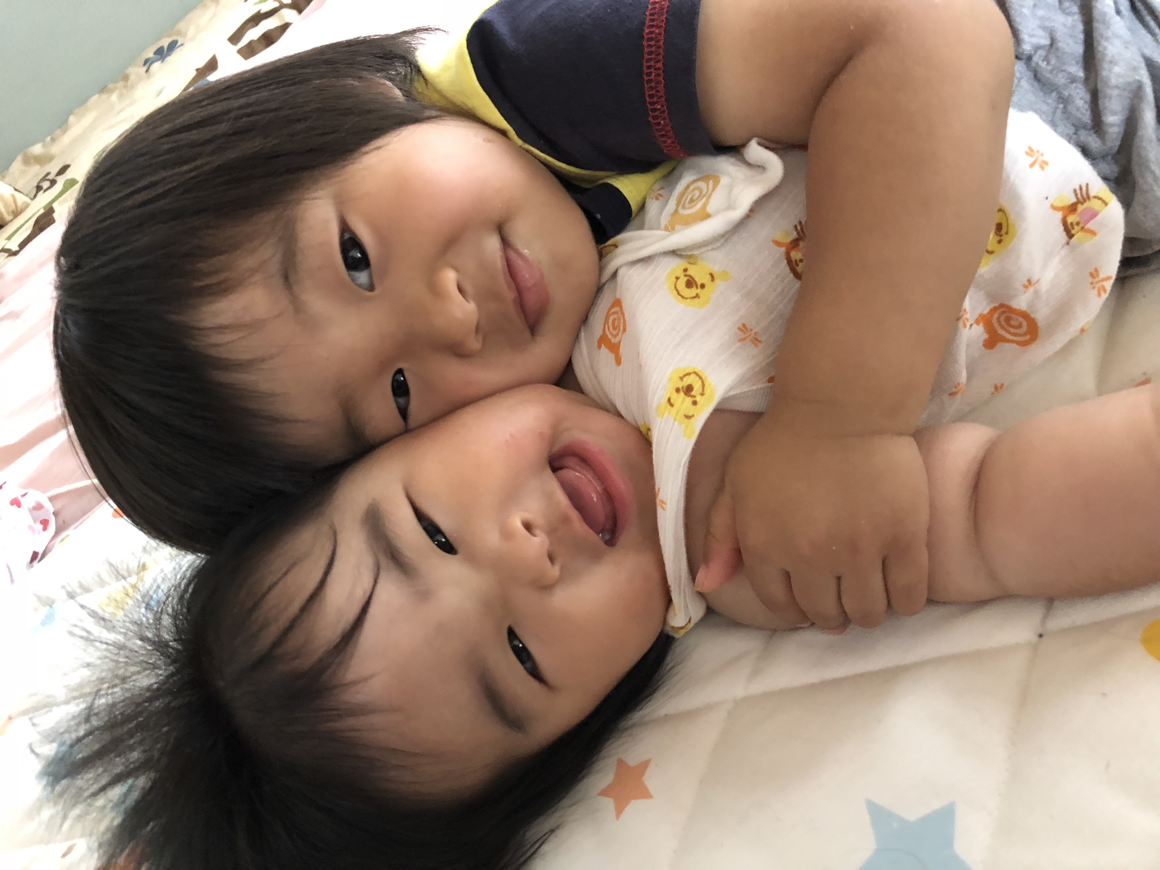 本日のオハナ