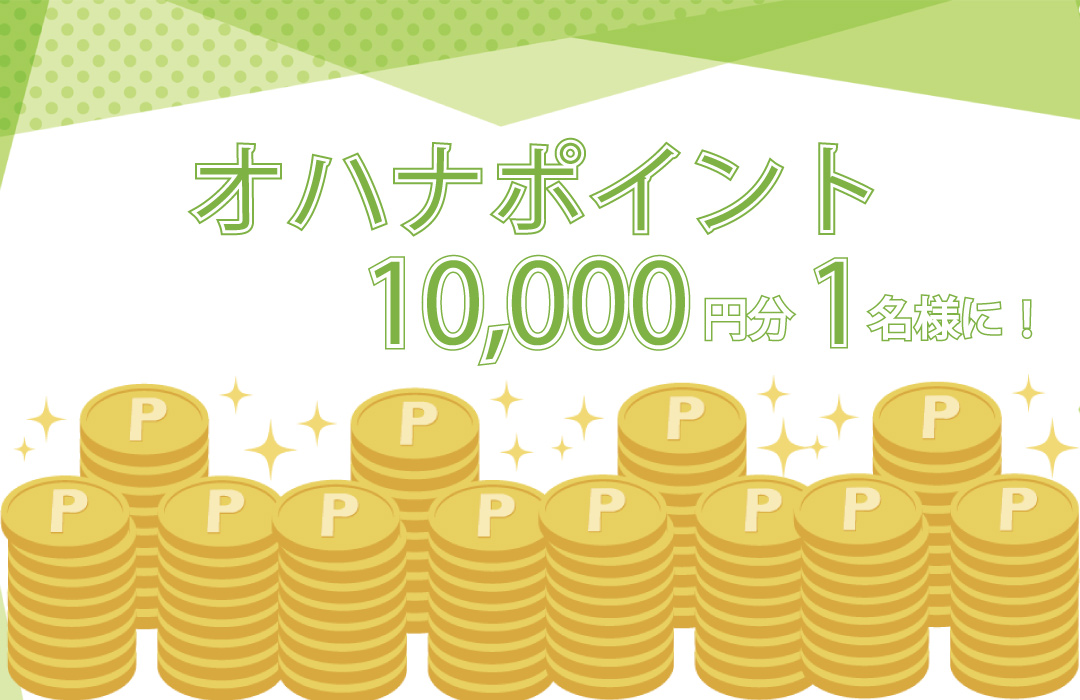 オハナポイント10,000円分