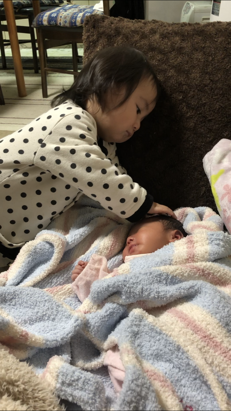 本日のオハナ