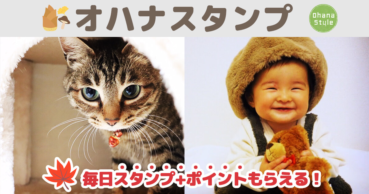 オハナスタンプ説明Top画像