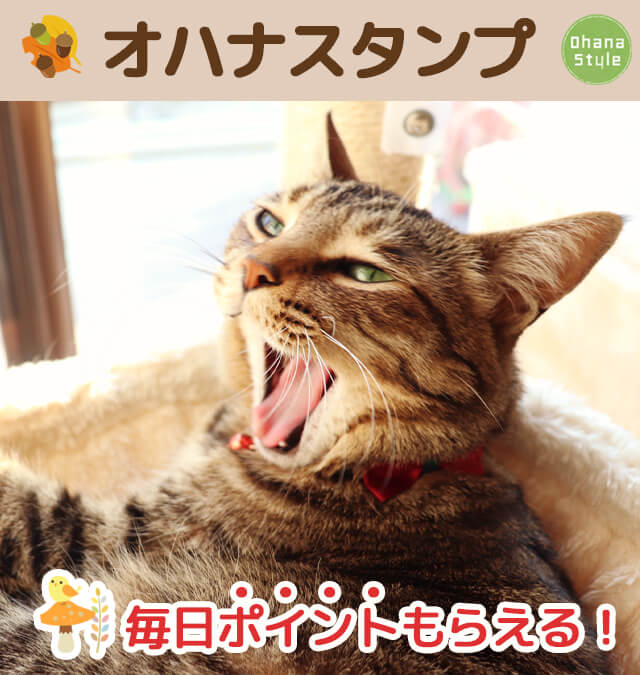 オハナスタンプ説明Top画像
