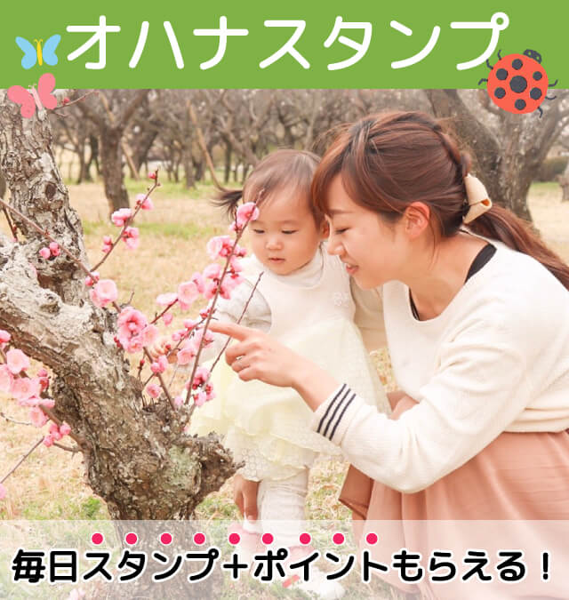オハナスタンプ説明Top画像