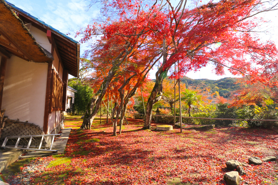 重要文化財 江川家住宅（江川邸）