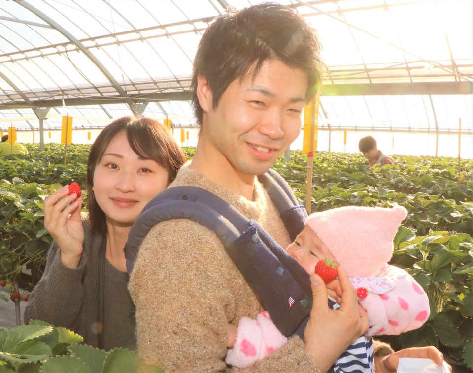 Nirayama strawberry picking center