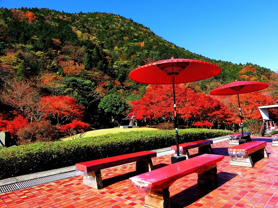 Showa-no-Mori