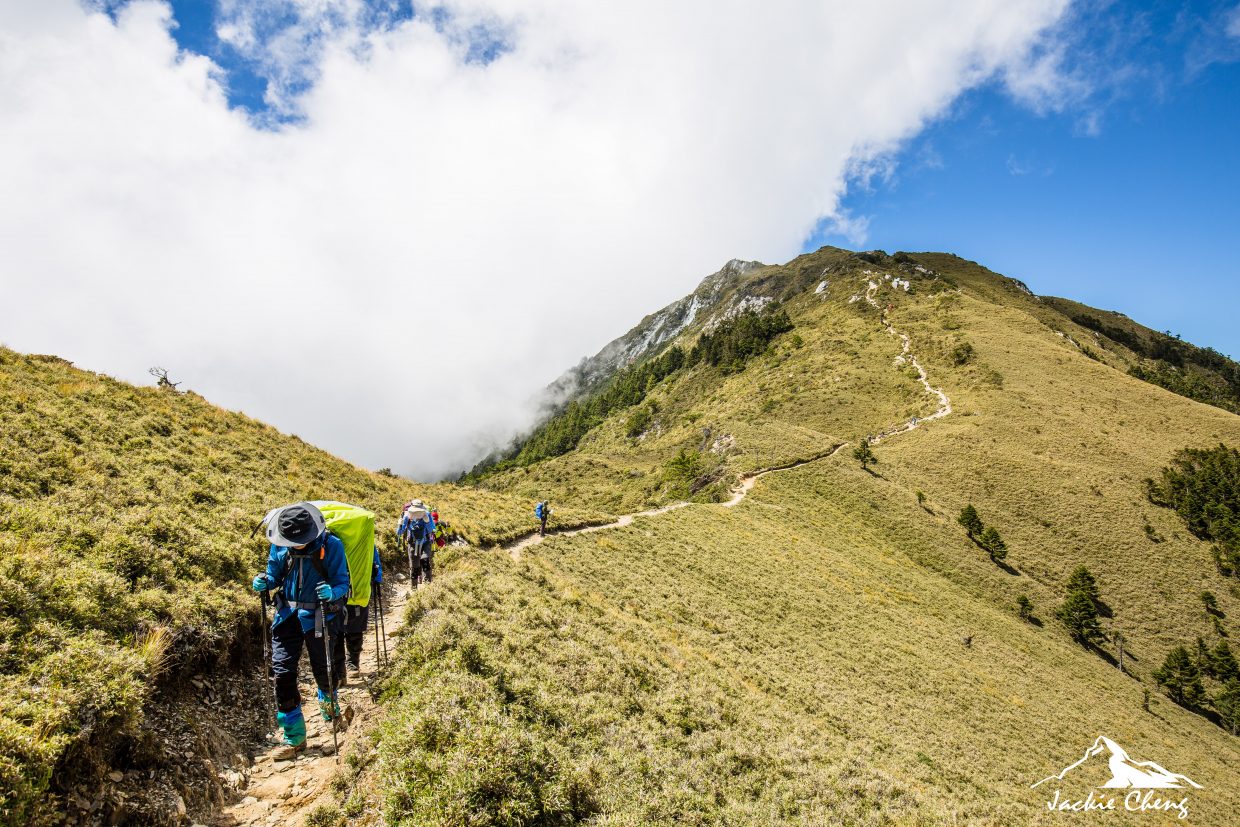 三叉山上的高山草原