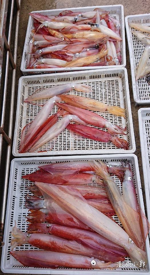 澎湖海鮮大哉問 怎麼吃最對時漁業達人告訴你 Sharelife 台灣旅行趣