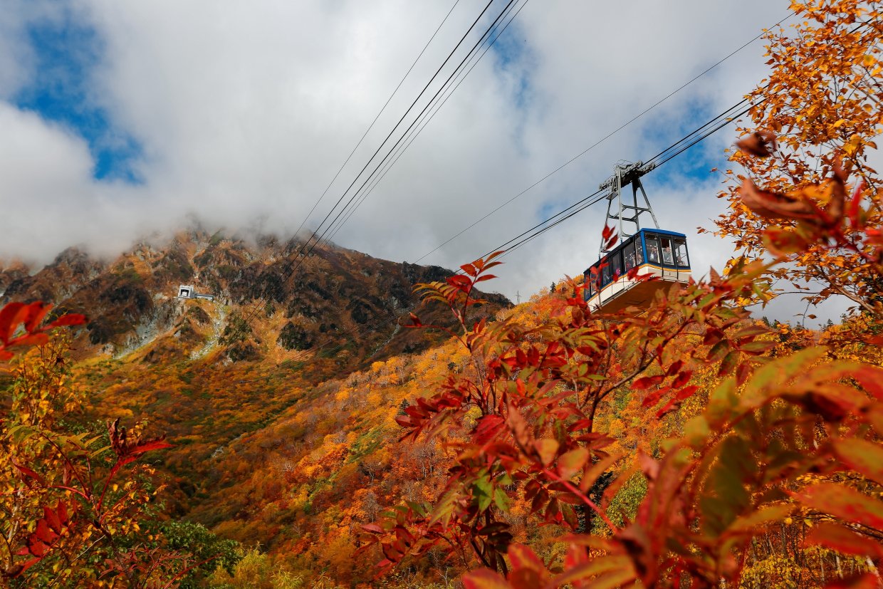 立山黑部一年四季都有不同的風貌