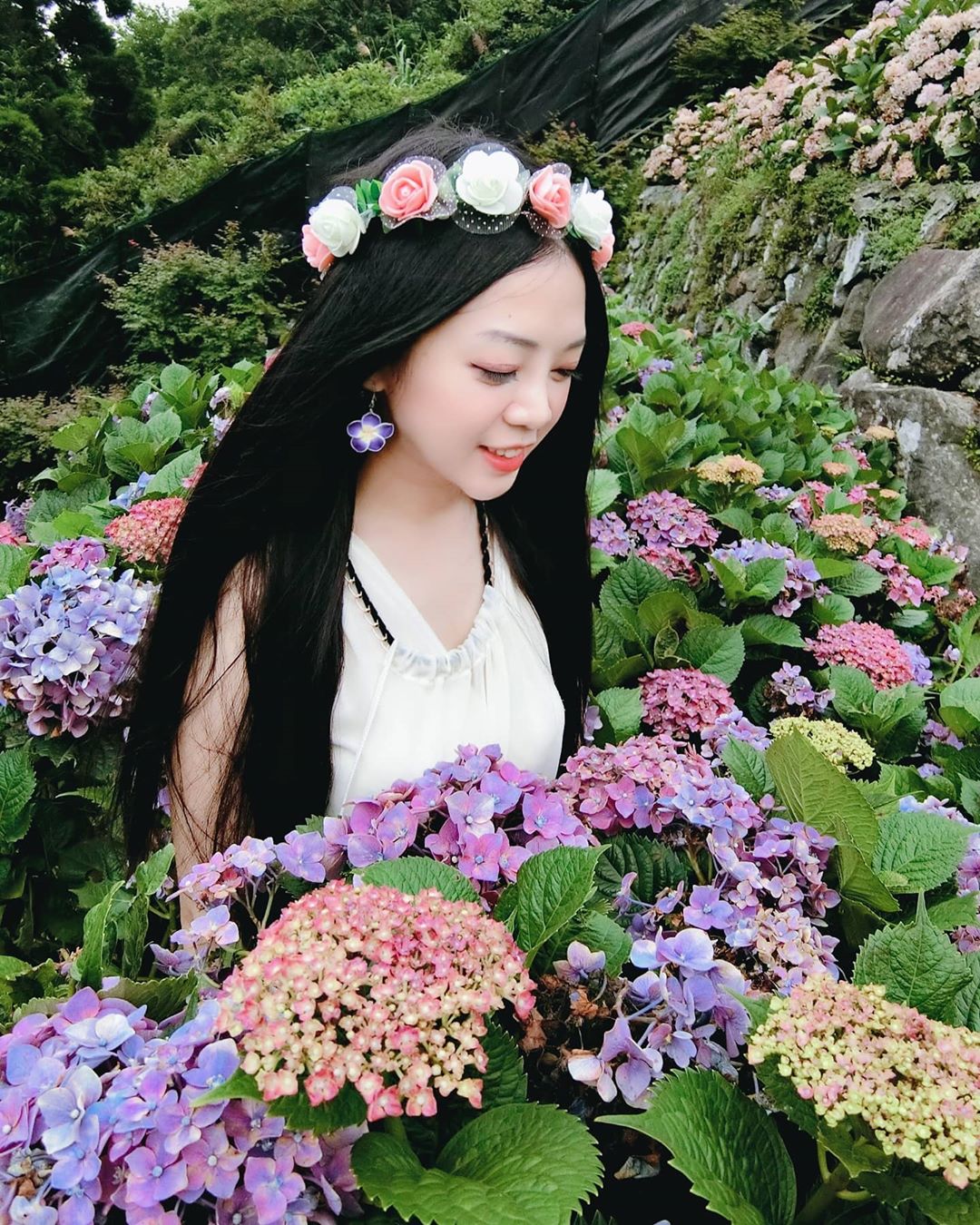 大梯田繡球花園@may27 29