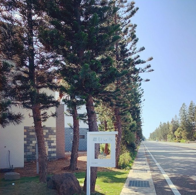 杉杉行旅 @michelle Huang
