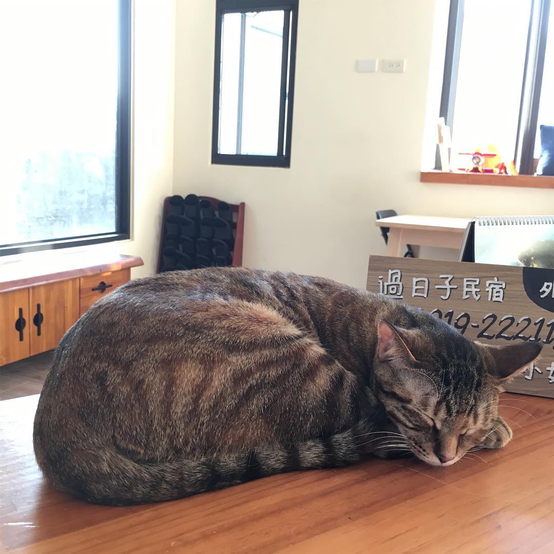 綠島過日子民宿 @living My Life Hostel4