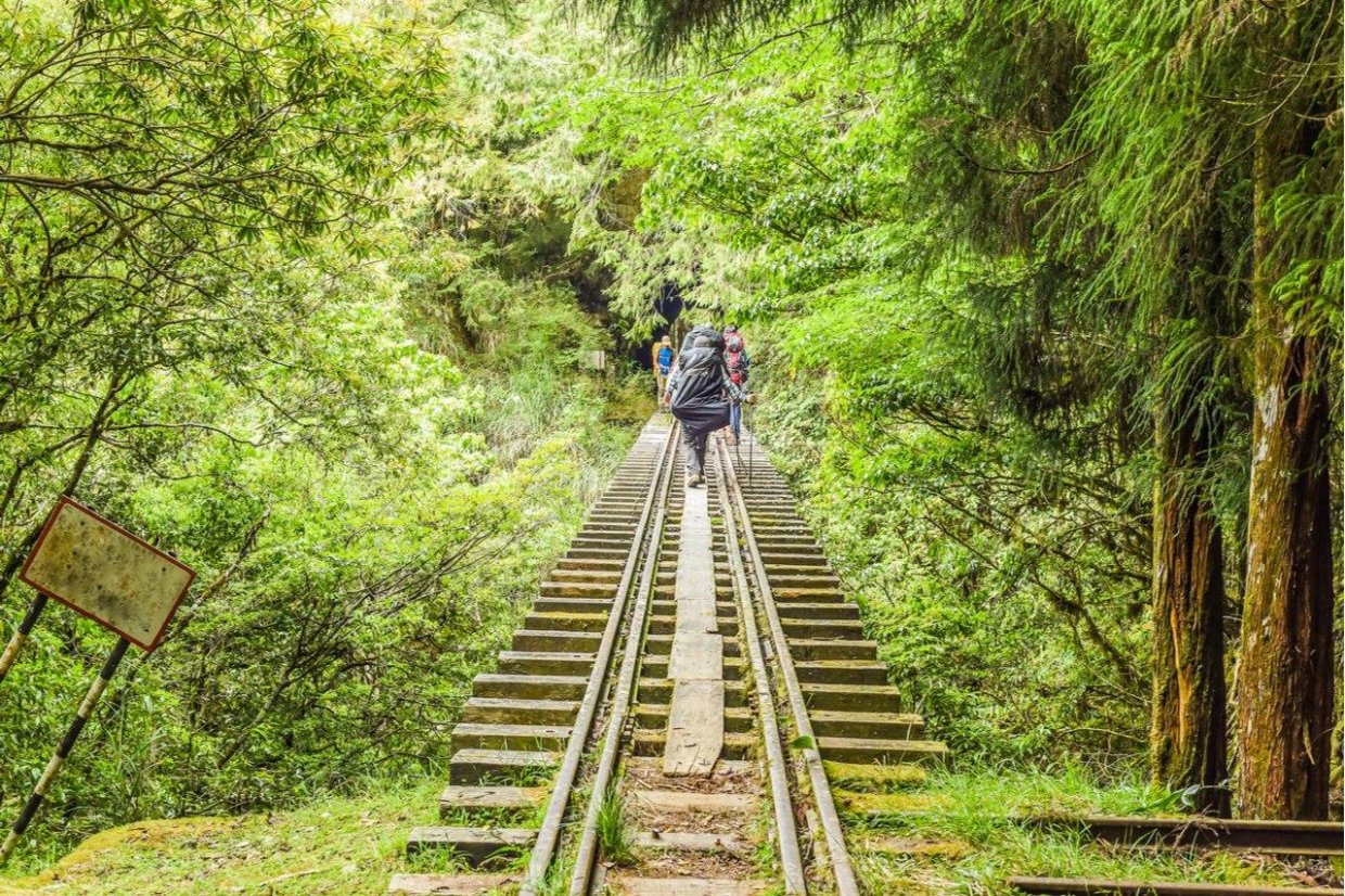 精選8條嘉義登山步道秘境|踏遍嘉義登山步道享受鳥鳴芬多精