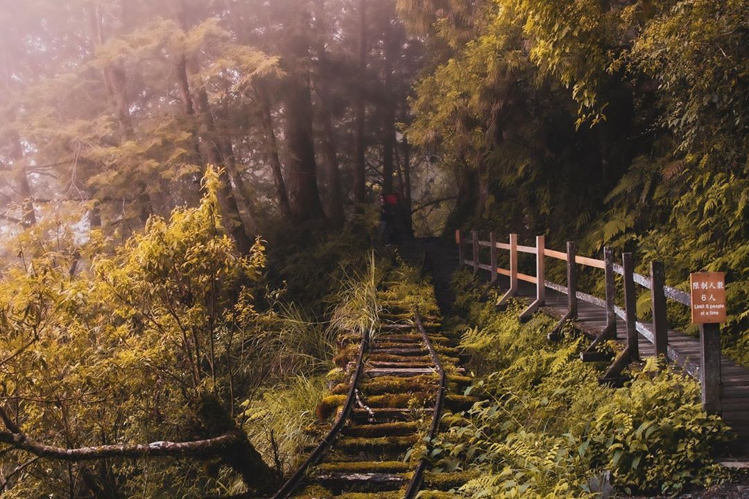 見晴古道 @chuwei41