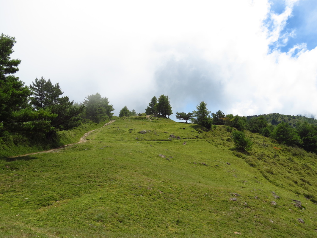嘉義8條必走森林登山步道秘境|踏遍嘉義登山步道享受森林浴