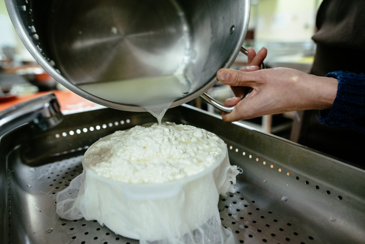 自製羊奶起司瑞可塔Ricotta