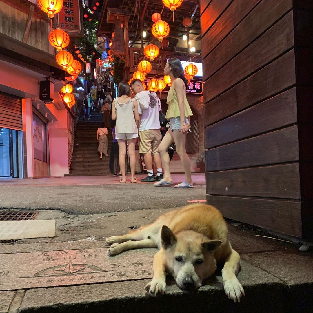 神隱國度 @yuxuan12162