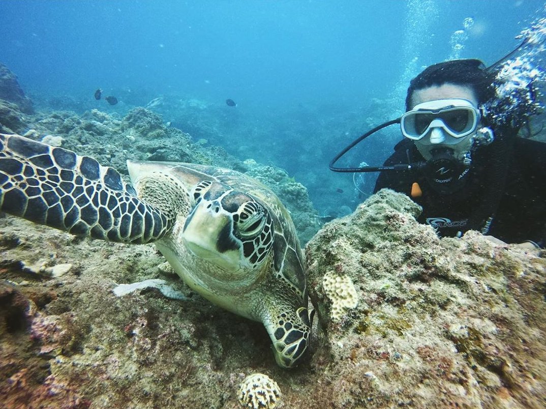 居琉 @stay Liuqiu Diving Hostel