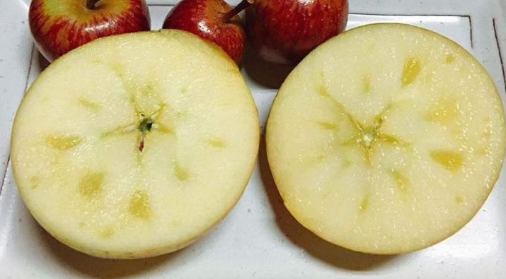秋天食材_蘋果