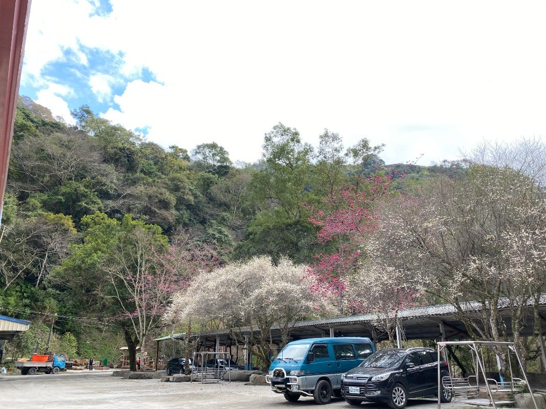 合歡仙境