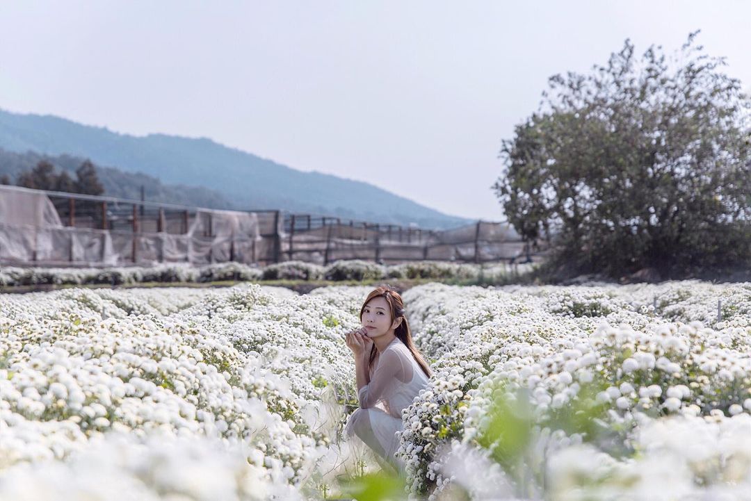 杭菊節 @ A Raw