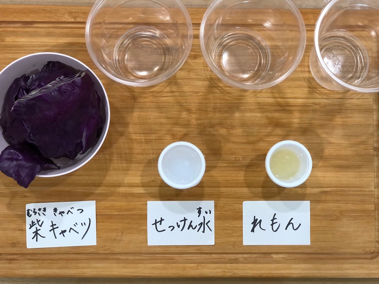 身近な食品を使って出来る 親子でできる楽しい化学実験3選 レポミン 気になるアレの体験談メディア