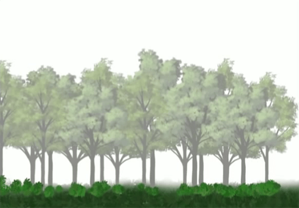 背景を描く時間を短縮!Photoshopで森を簡単に数分で描く方法|お
