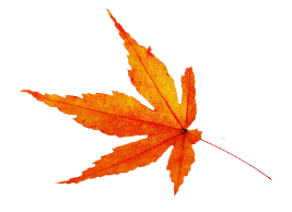 建設業許可取得 | 長野県飯田市の塩澤塗装は屋根塗装・外壁塗装などの