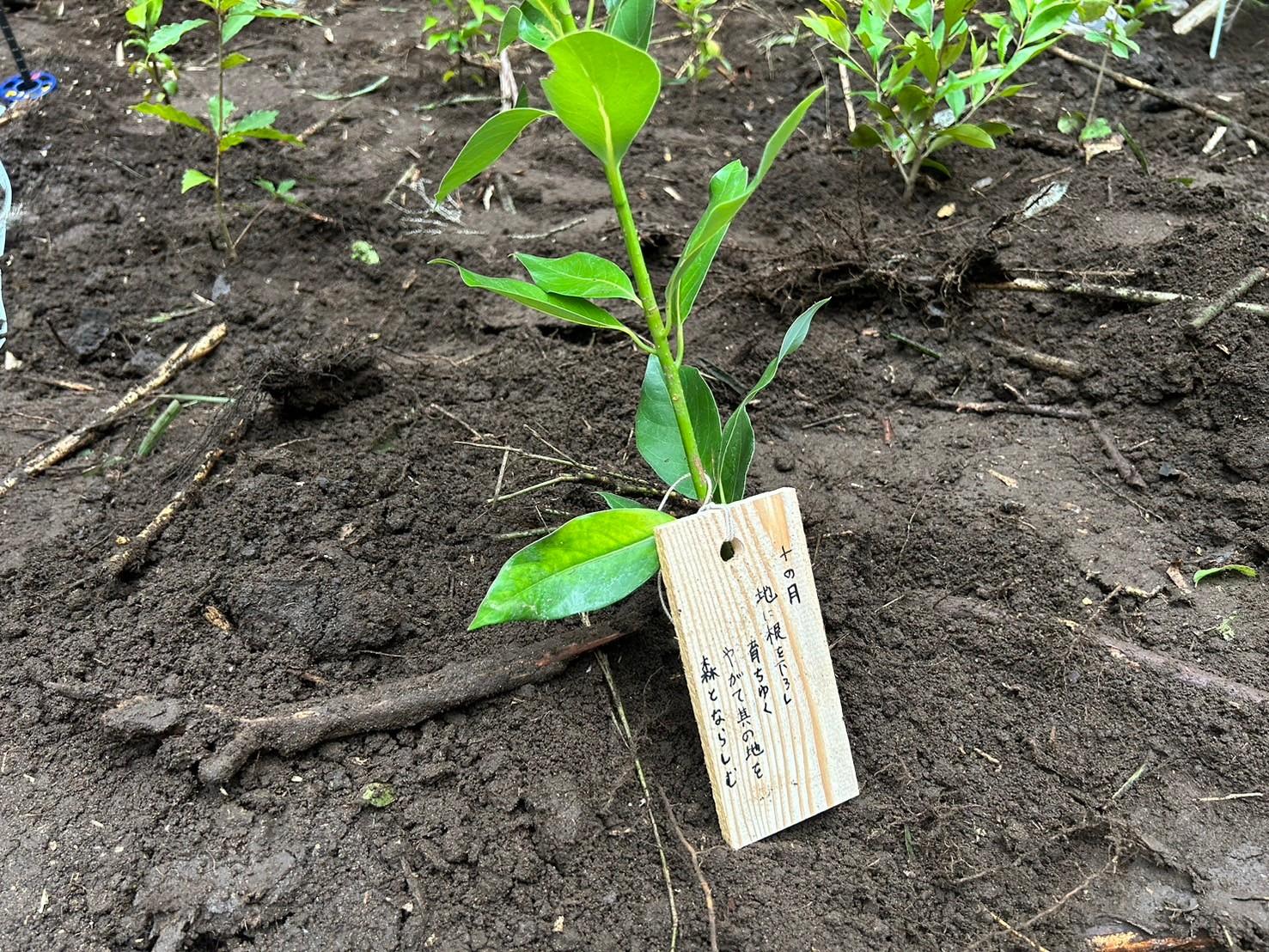 國學院植樹祭_16.jpg