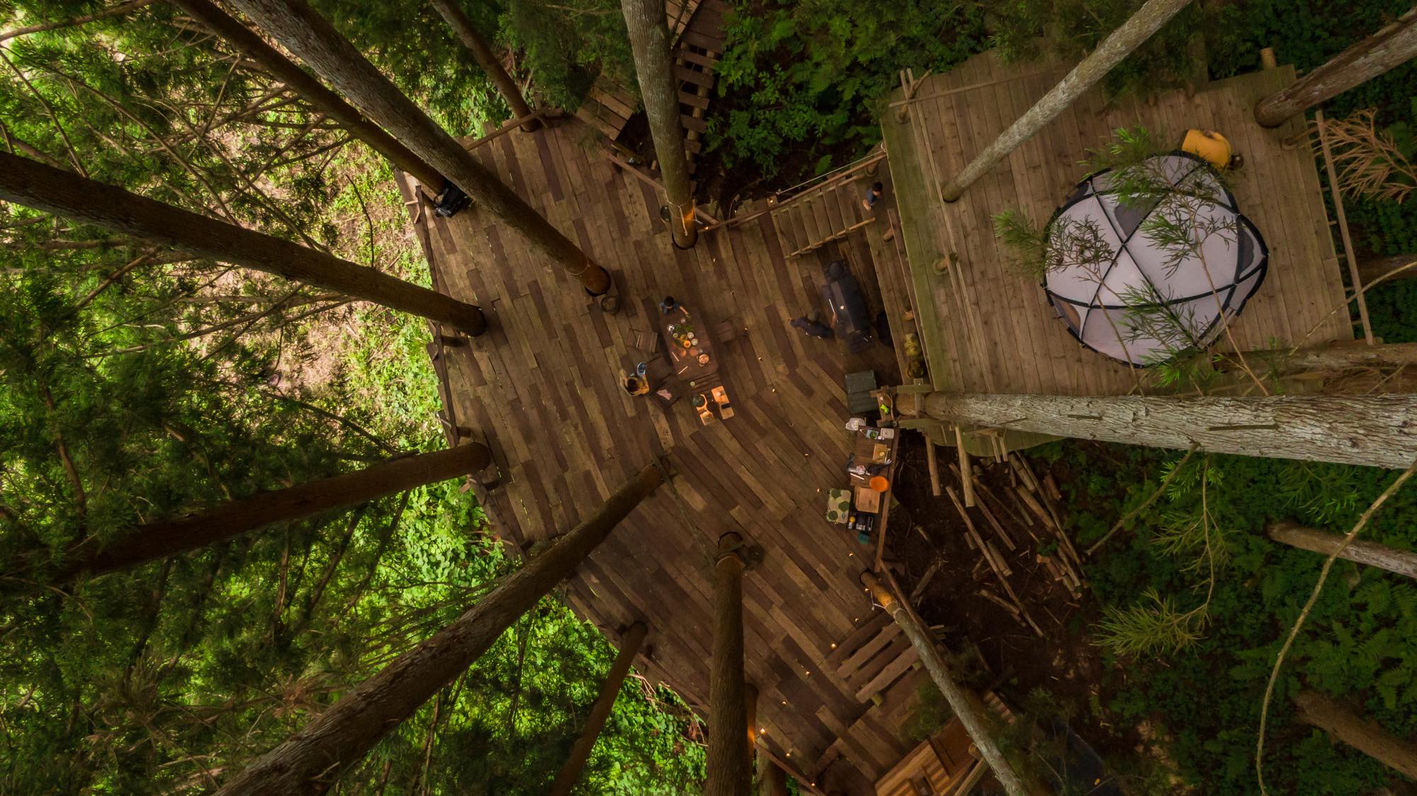 goat_DJI_0023.jpg