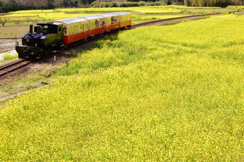 千葉県中央地域の地方自治体による婚活支援サービス