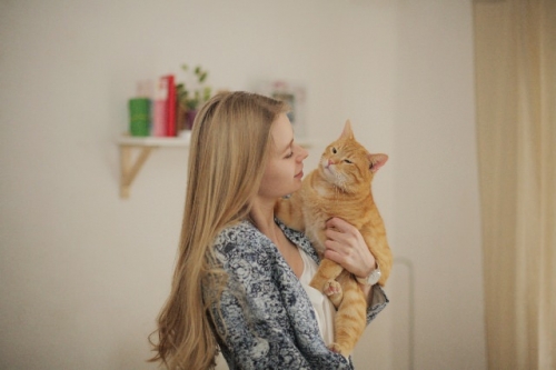 猫を可愛がる