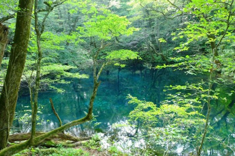 能代市・山本郡地方の自治体による結婚支援サービス情報