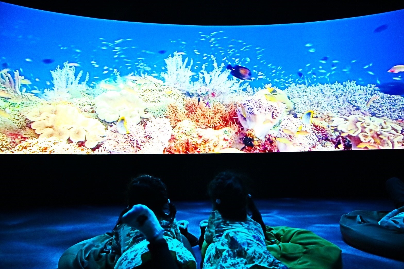 107名に豪華賞品 Good Sleepフォトコンテスト2018 By レイコップ レイコップ