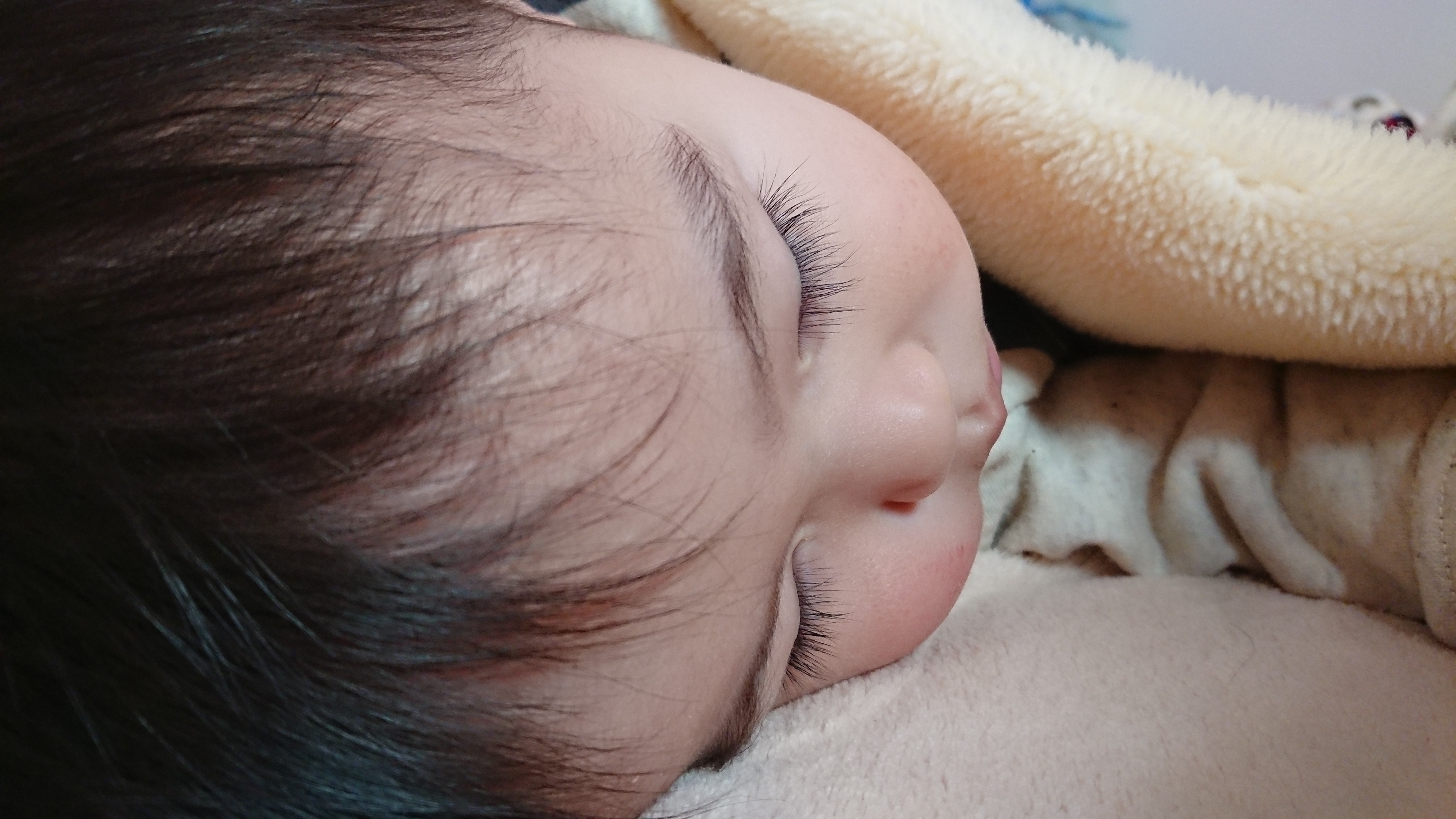 107名に豪華賞品 Good Sleepフォトコンテスト18 By レイコップ レイコップ