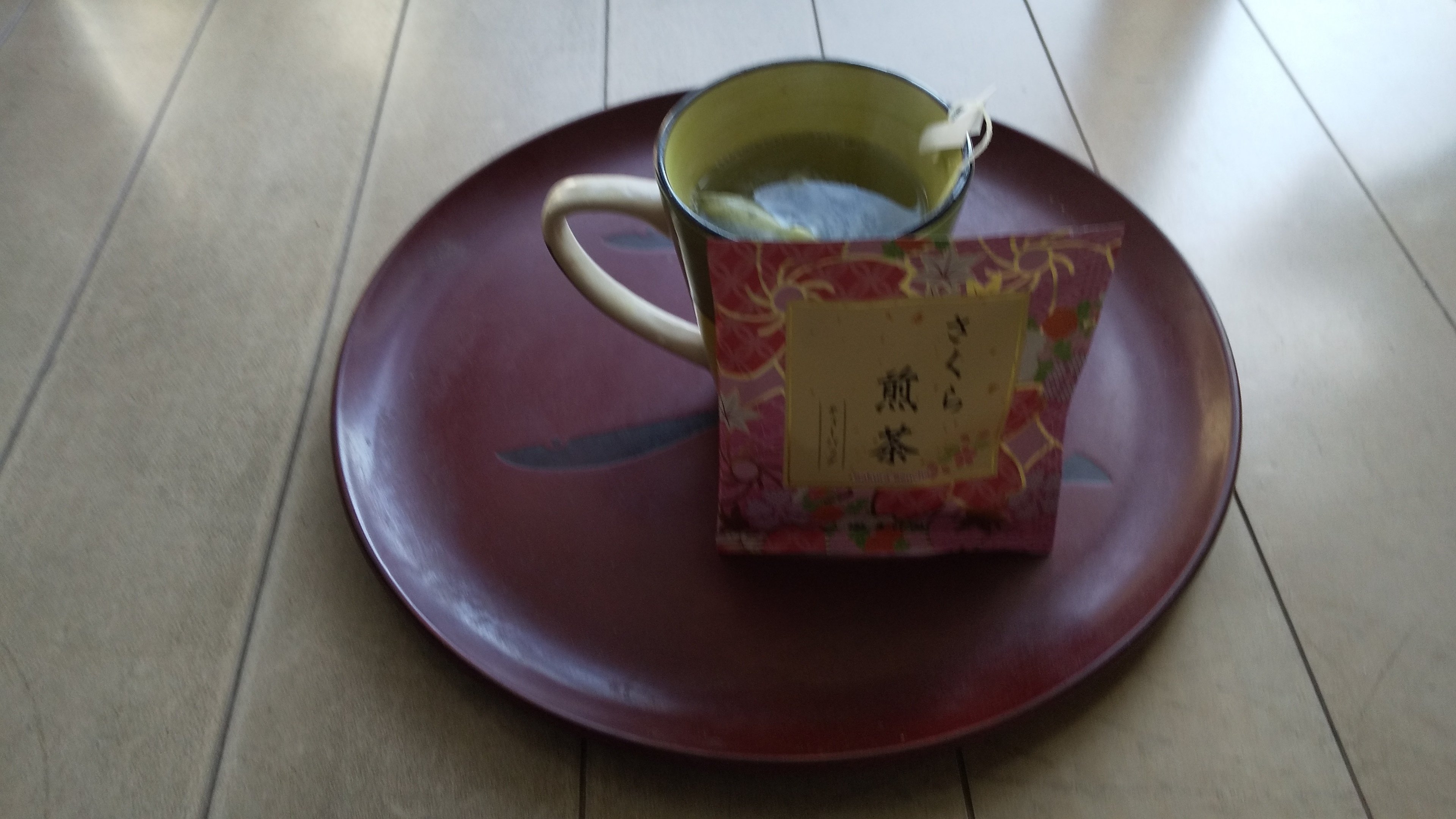 春の陽射しを浴びながら