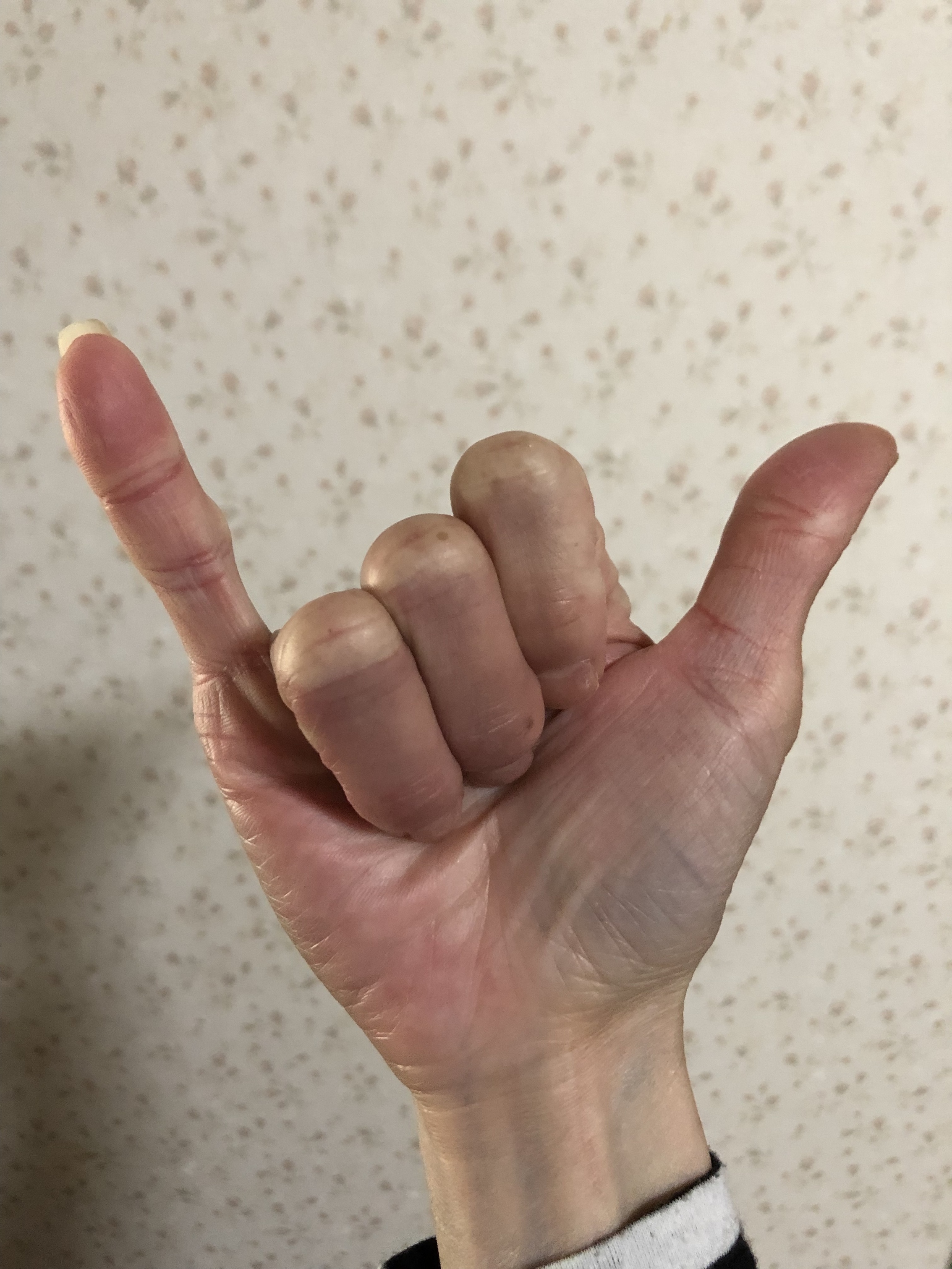 キッザニア東京入場券ペアチケットや直筆サイン色紙が当たる Alsokハンドサイン投稿キャンペーン Alsokファンサイト