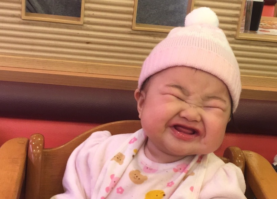 パロマ１００枚看板プロジェクト キャンペーン パロマファンサイト