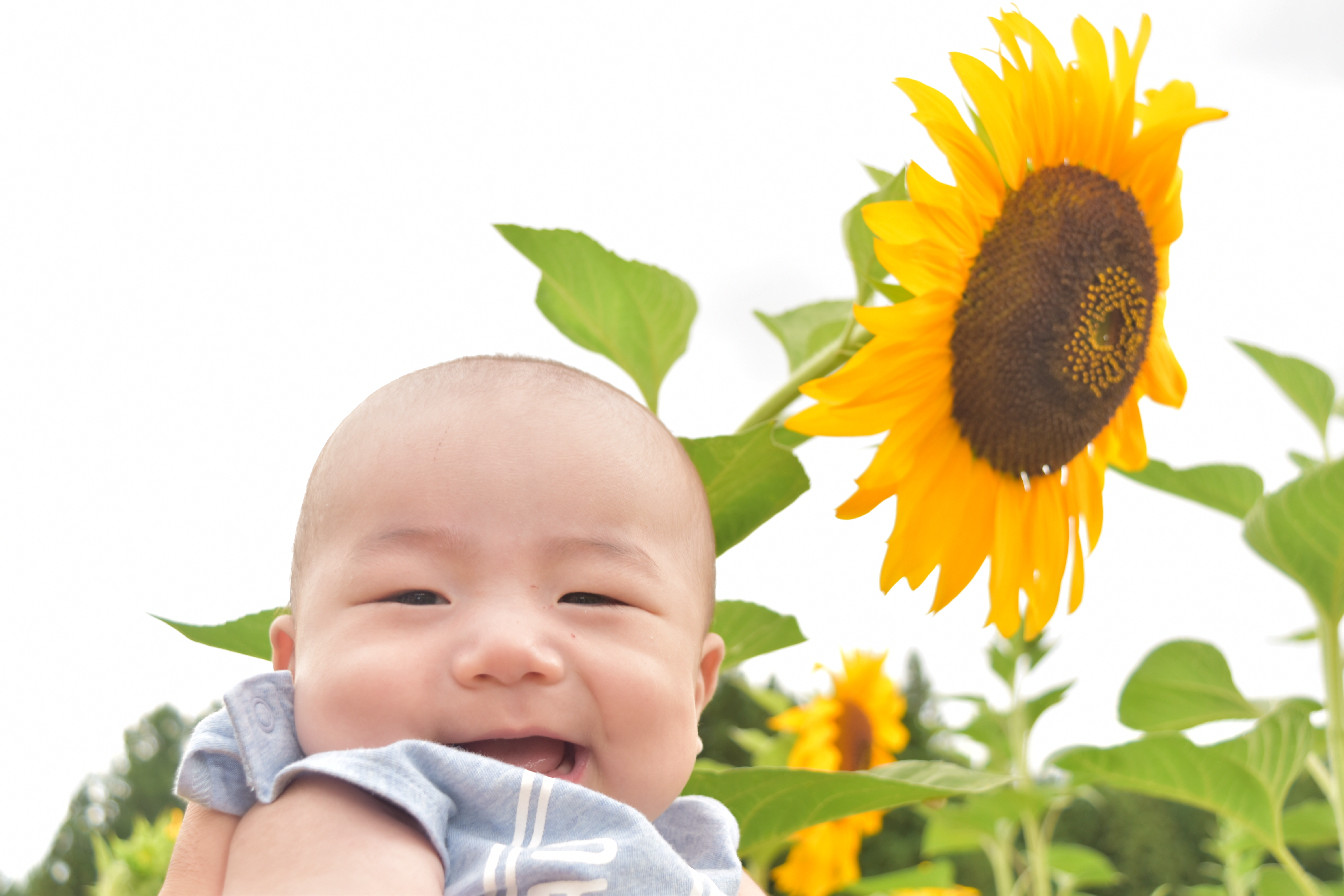 パロマ110周年プロジェクト 第5回フォトコンテスト その笑顔にありがとう パロマファンサイト