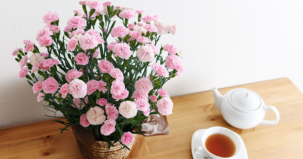 鉢花豊かに薫るグラデ花 に投票しました