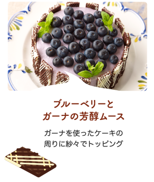 ブルーベリーとガーナの芳醇ムース